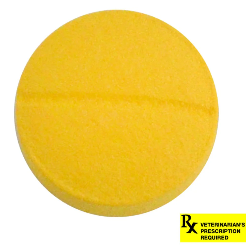 Rx Chloramphenicol (Generic) Tablets for Dogs - Image 3