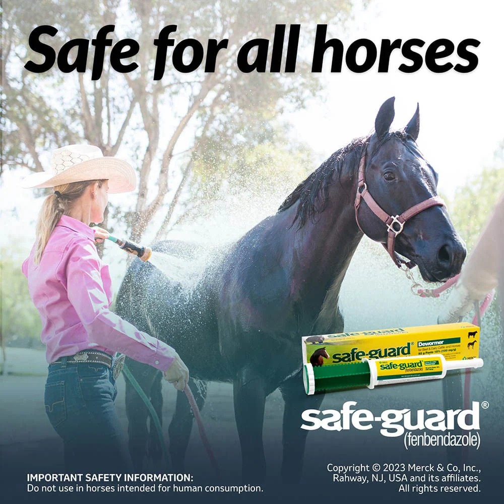 Safe-Guard 10% Fenbendazole Beef & Dairy Cattle and Horses Dewormer Paste, 92g Tube – Broad-Spectrum Parasite Control - Image 3