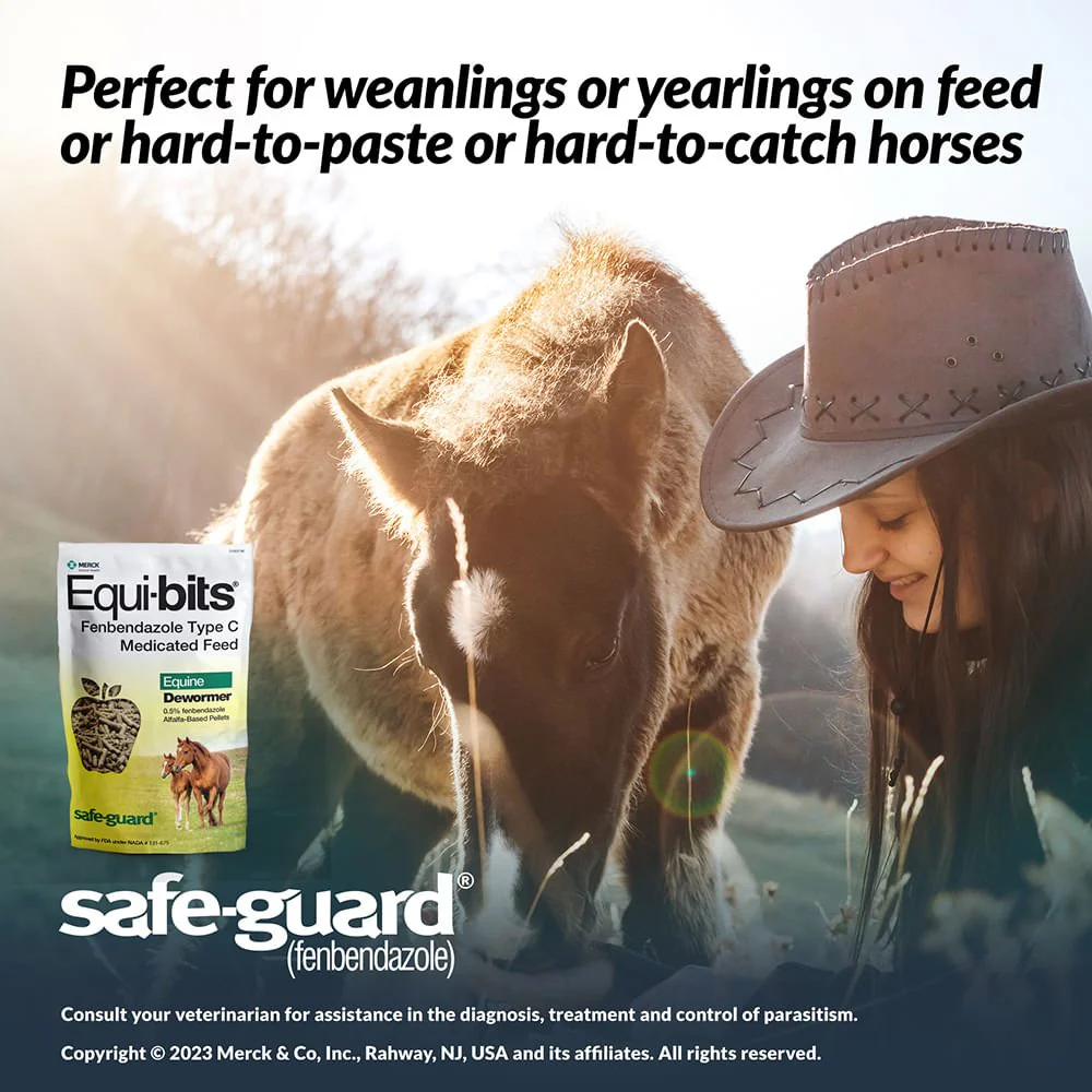 Safe-Guard Equi-bits Fenbendazole Medicated Feed Horse Dewormer - Image 2