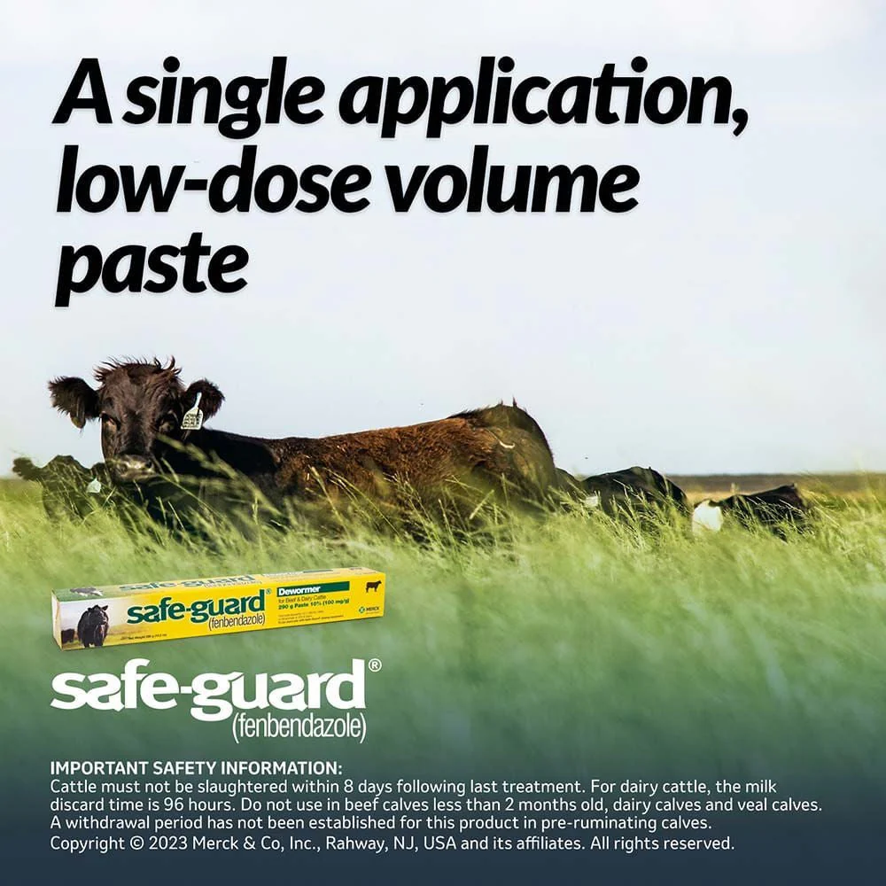Safe-Guard Fenbendazole Beef & Dairy Cattle Dewormer Paste 10%, 290g – Broad-Spectrum Wormer - Image 2