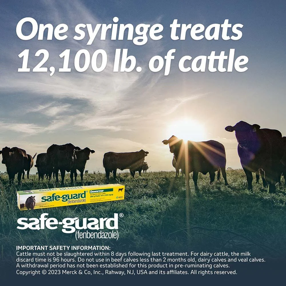 Safe-Guard Fenbendazole Beef & Dairy Cattle Dewormer Paste 10%, 290g – Broad-Spectrum Wormer - Image 3