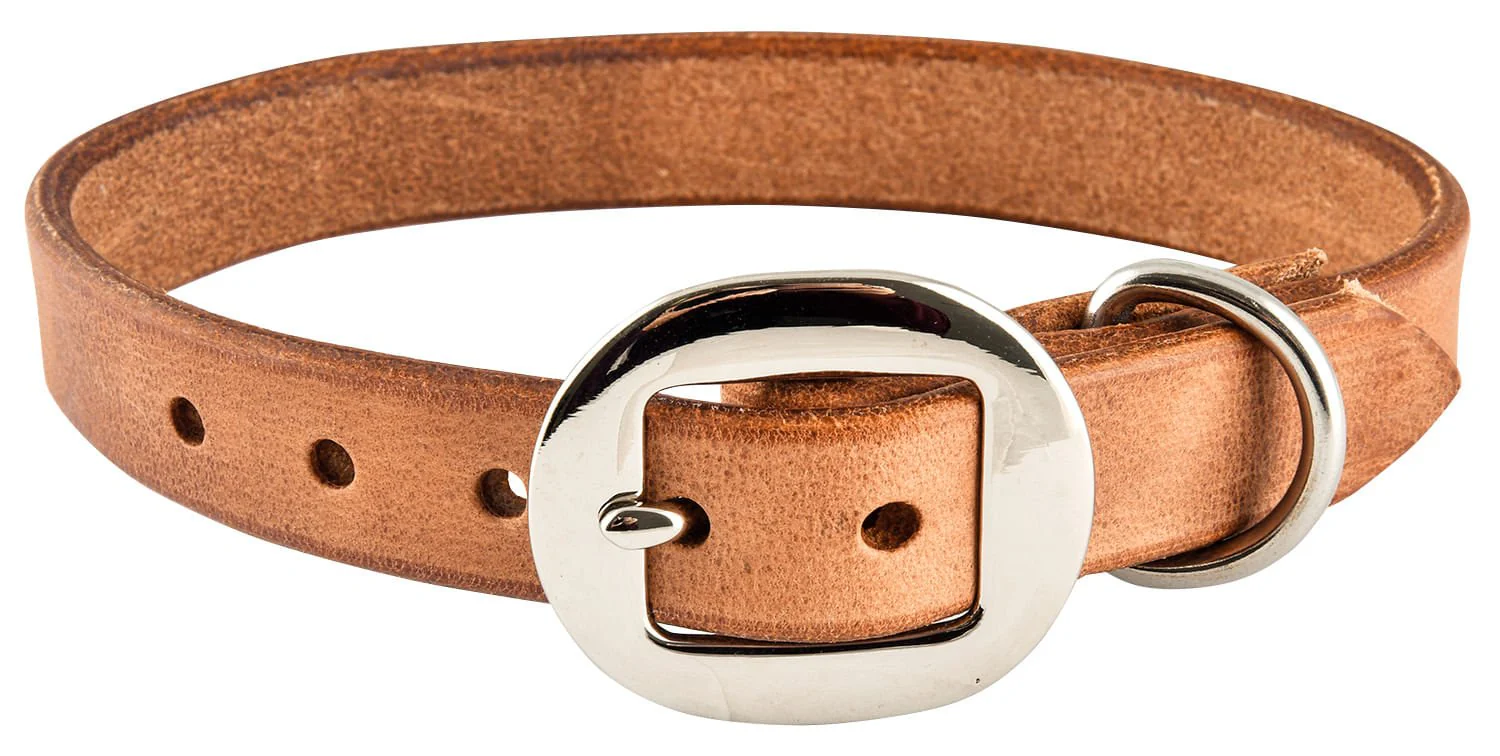 San Saba Leather Dog Collar - Image 3