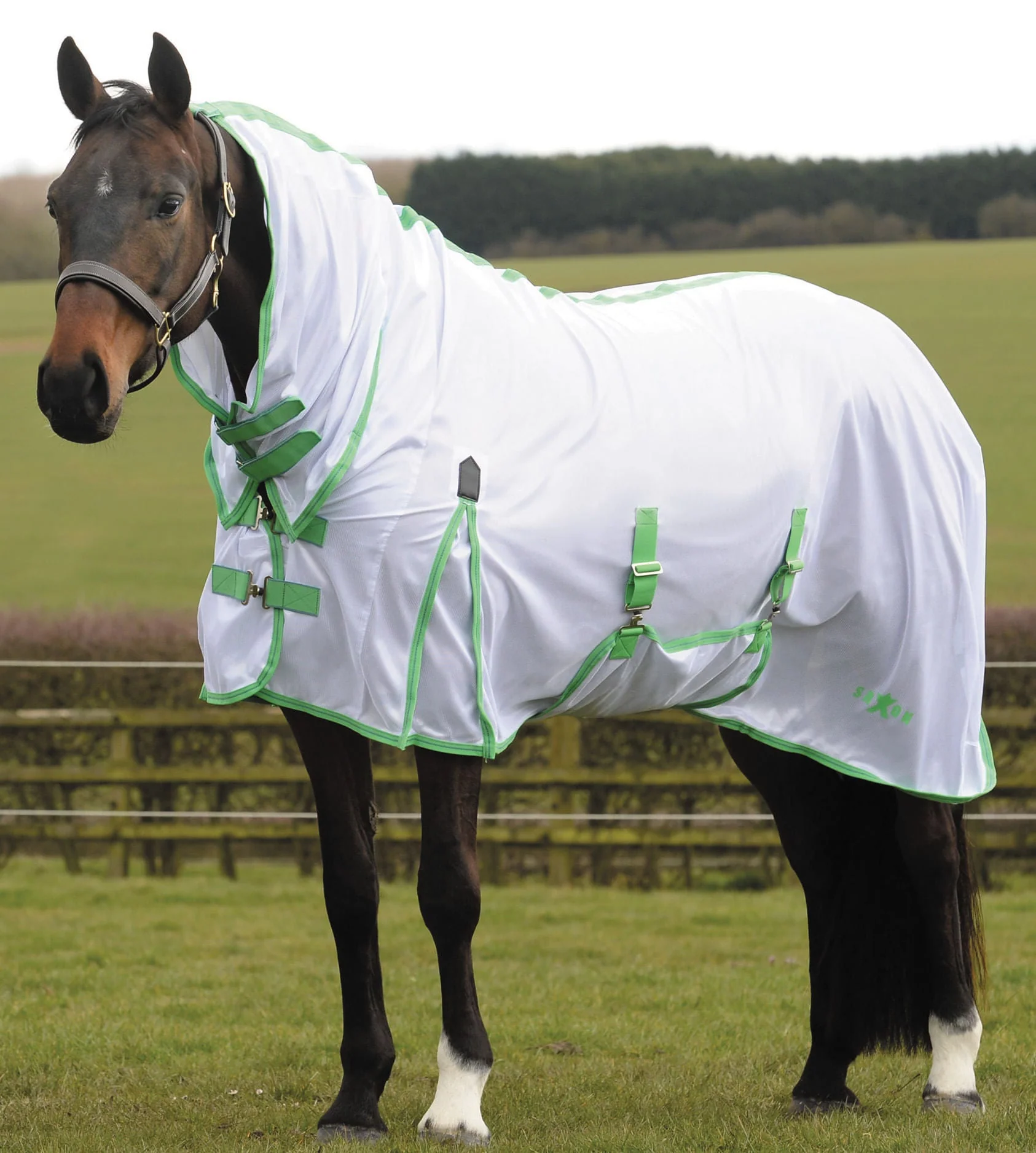 Saxon Combo Neck Mesh Horse Fly Sheet - Image 2