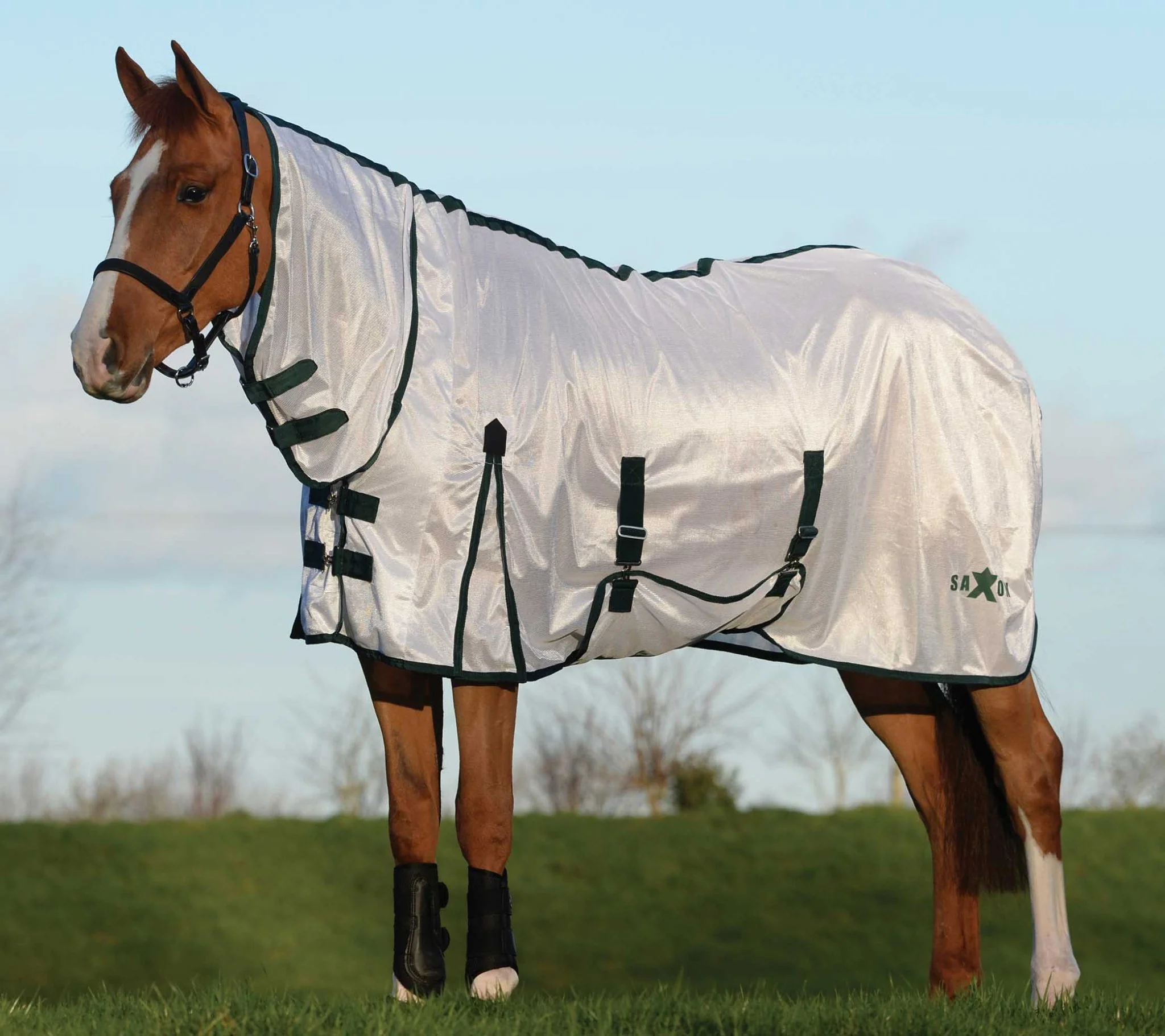 Saxon Combo Neck Mesh Horse Fly Sheet - Image 1
