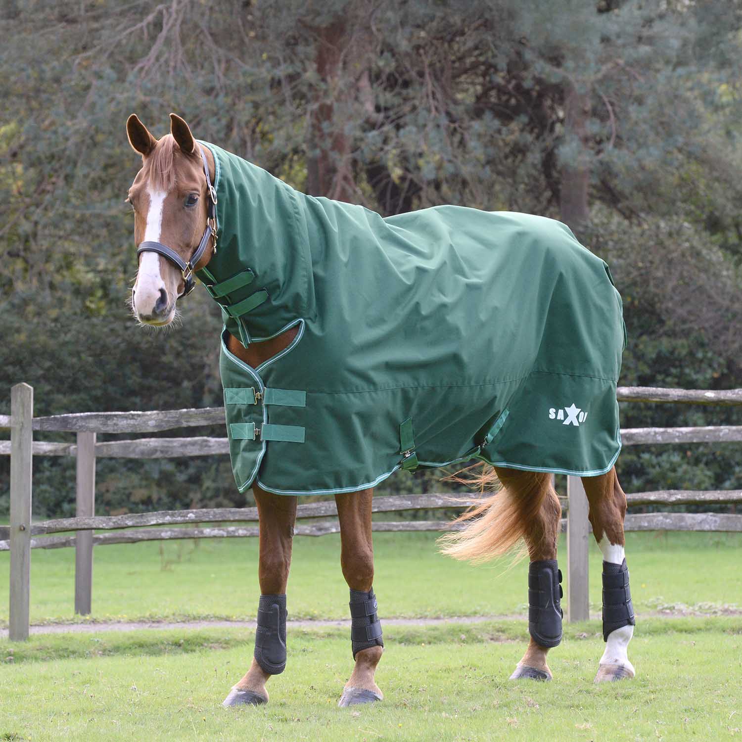 Saxon Defiant 1200 Denier Combo Neck Medium-Weight Turnout Blanket for Horses, 200g - Waterproof, Breathable & Durable - Image 1