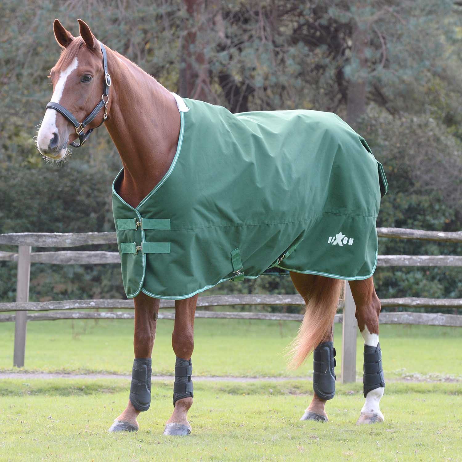 Saxon Defiant 1200 Denier Standard Neck Medium-Weight Turnout Blanket for Horses, 200g - Waterproof, Breathable & Durable - Image 1
