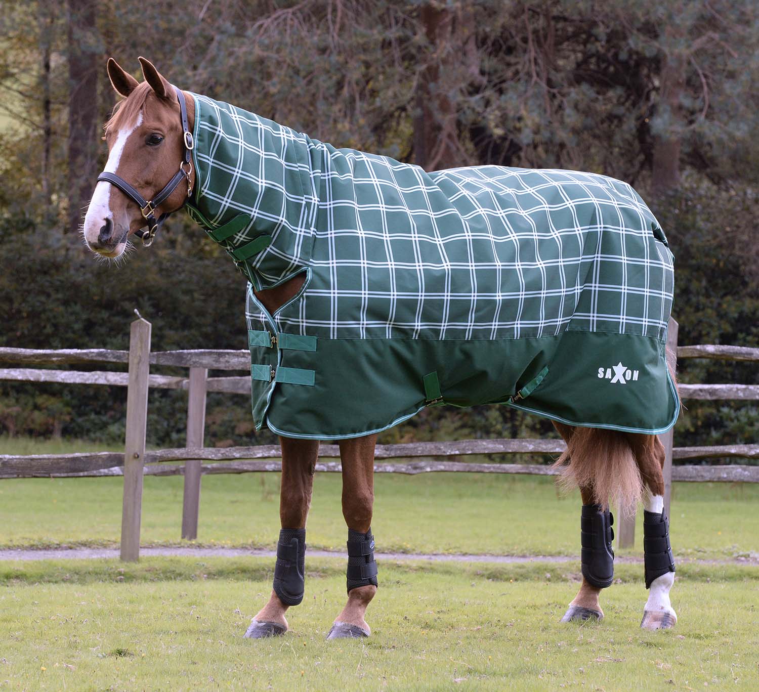 Saxon Defiant 1200D Combo Neck Medium Weight Horse Turnout, 200 Gram - Image 1
