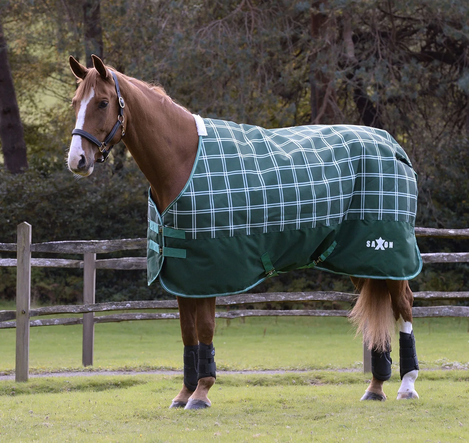 Saxon Defiant 1200D Standard Neck Horse Turnout, Medium, 200 Grams - Image 1
