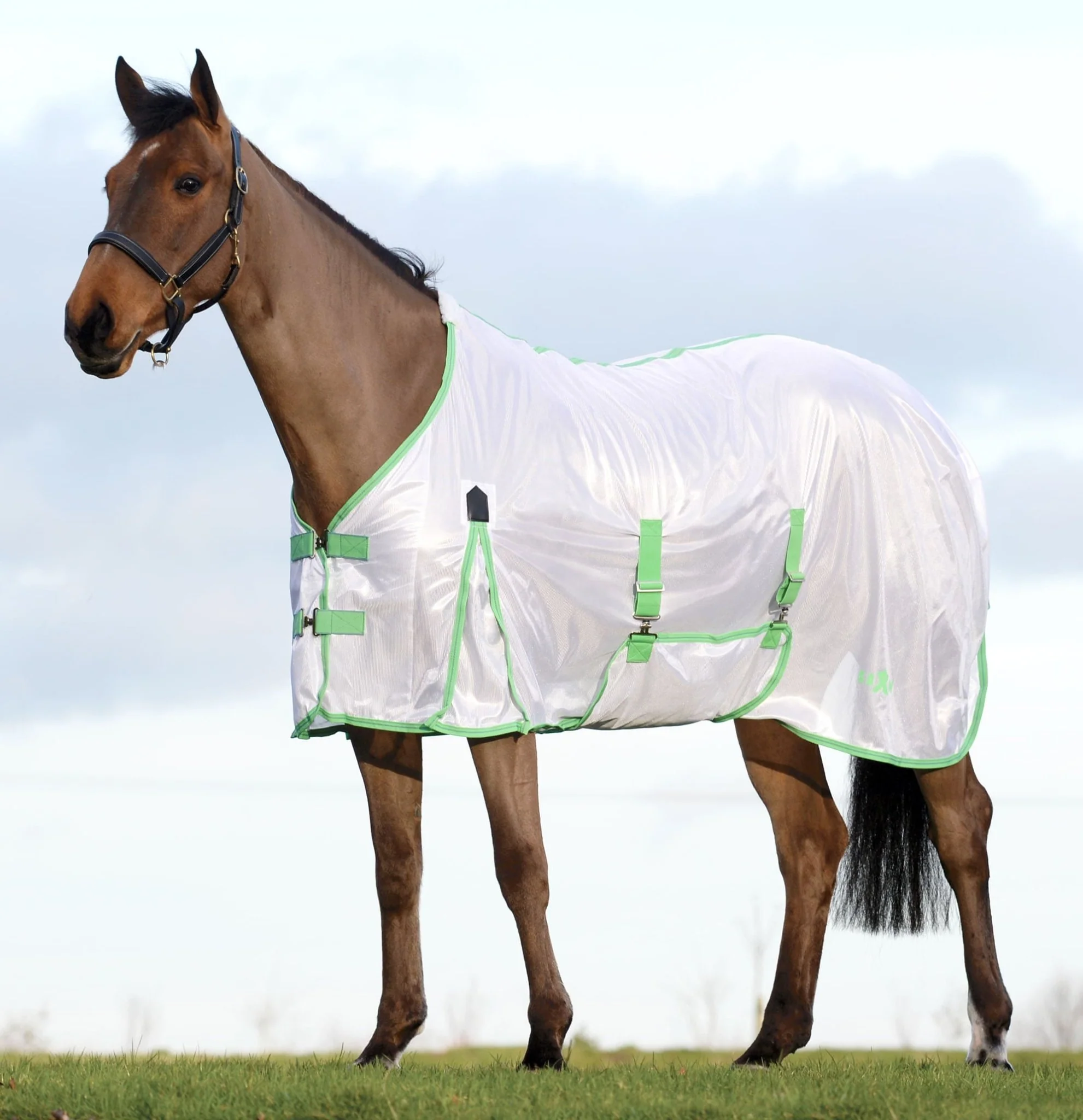 Saxon Standard Neck Mesh Horse Fly Sheet - Image 2