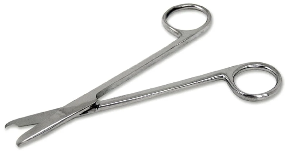 Scissors, 5.5" Straight - Image 1