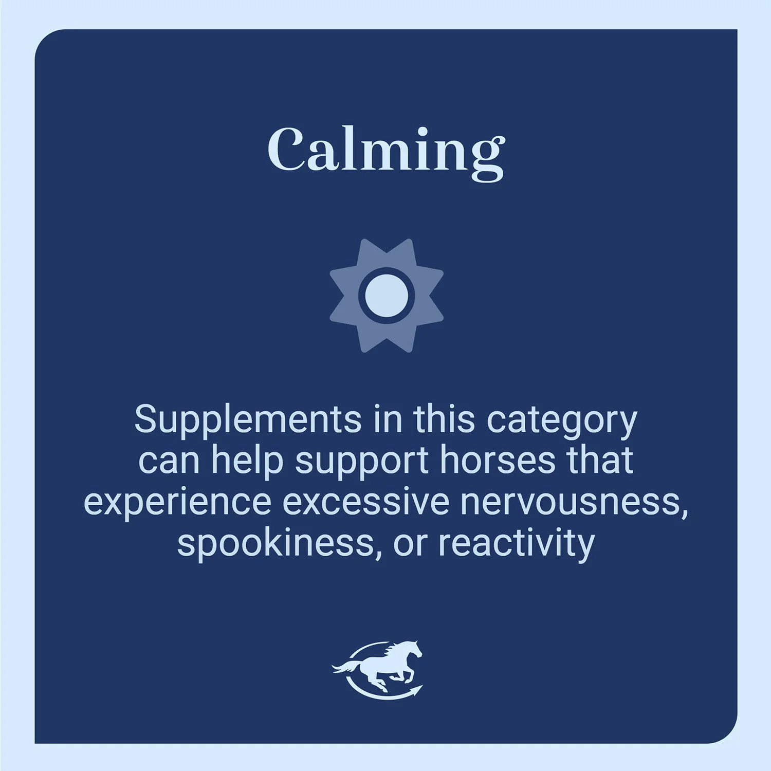Seroquine Calming Support for Horses, Paste - Image 3