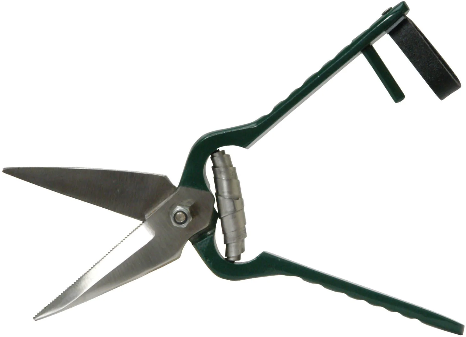 Jeffers Serrated Foot Rot Hoof Trimming Shears for Livestock - Image 1
