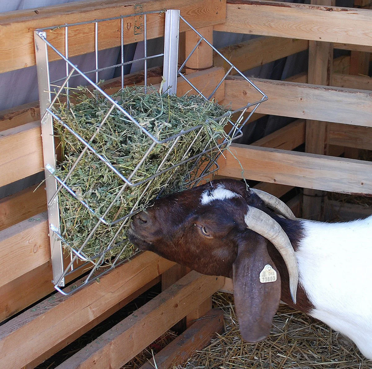 Sheep & Goat Galvanized Basket Feeder - Image 2