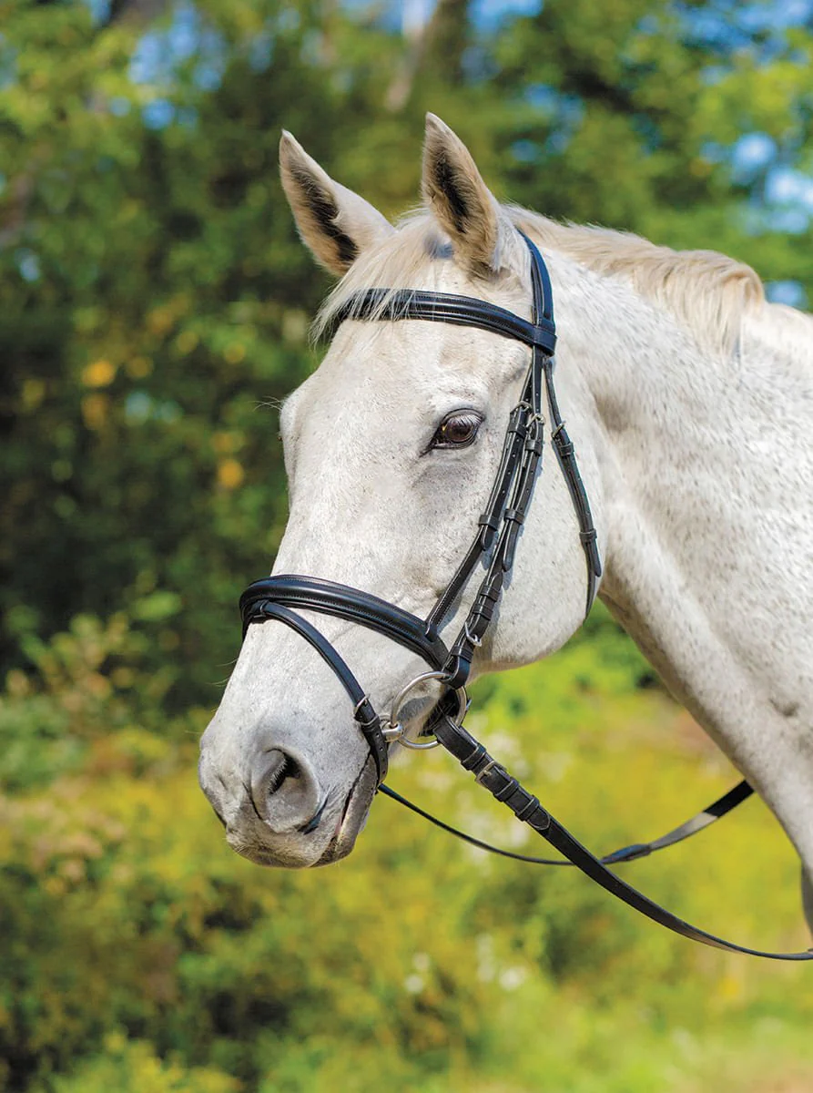 Shires Avignon Louisville Bridle - Image 1