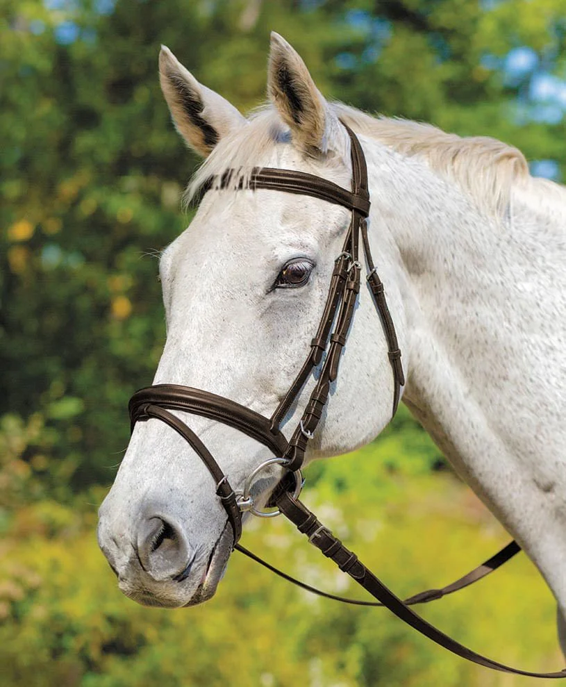 Shires Avignon Louisville Bridle - Image 2