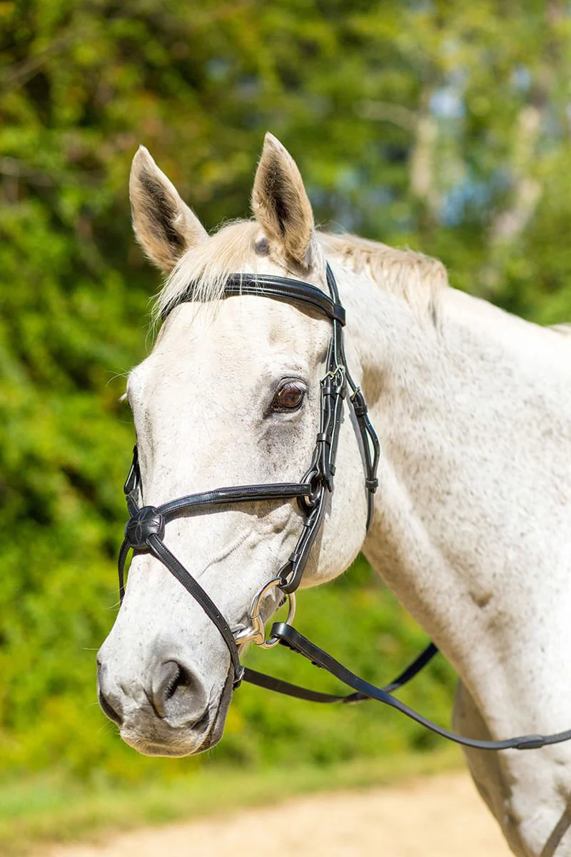 Shires Avignon Woodside Bridle - Image 1