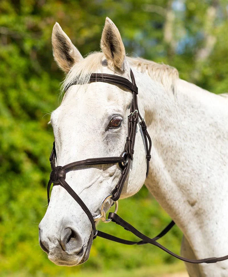 Shires Avignon Woodside Bridle - Image 2