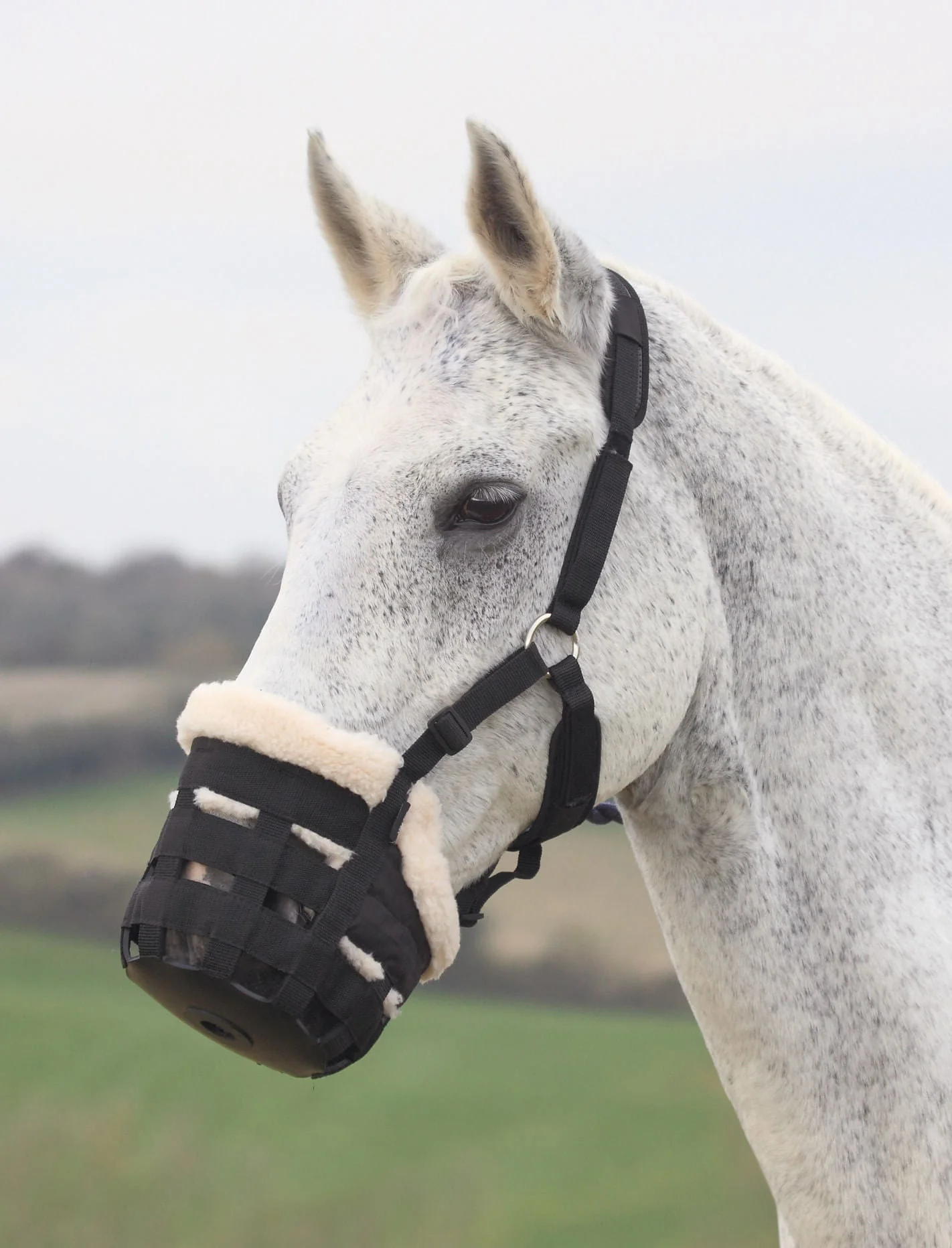 Shires Deluxe Grazing Muzzle - Image 1