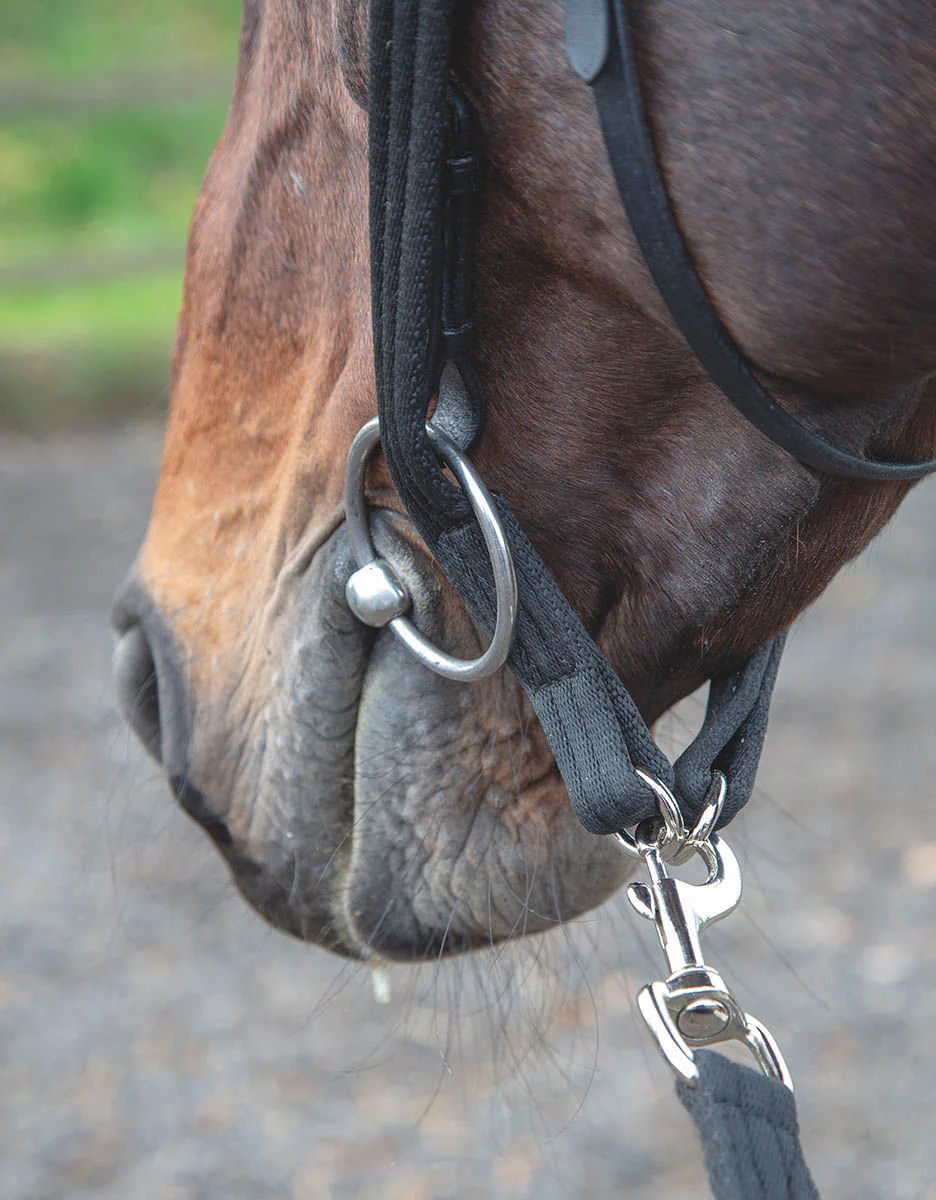 Shires Lunging Adapter - Image 1