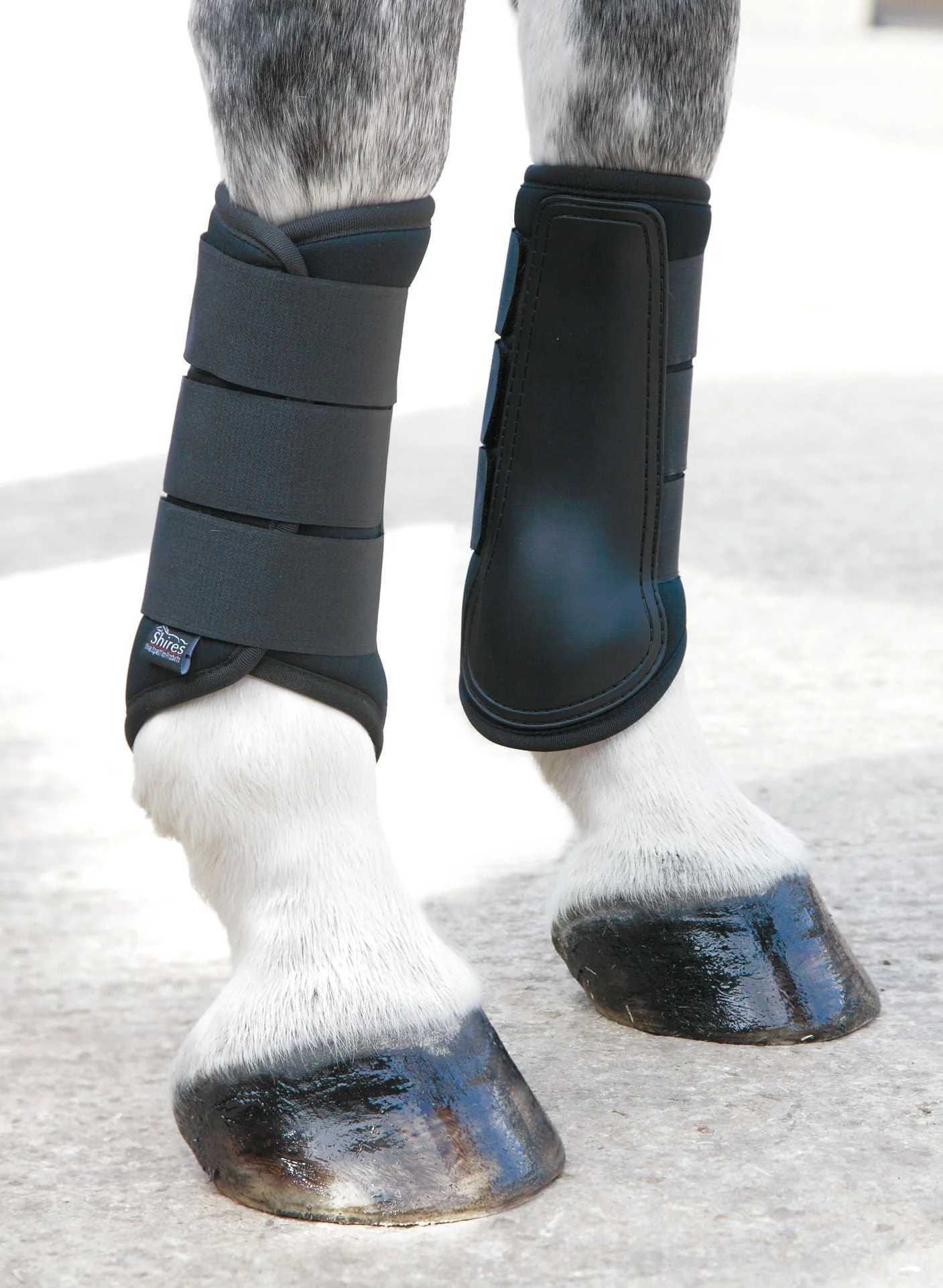 Shires Neoprene Brushing Boots - Image 3