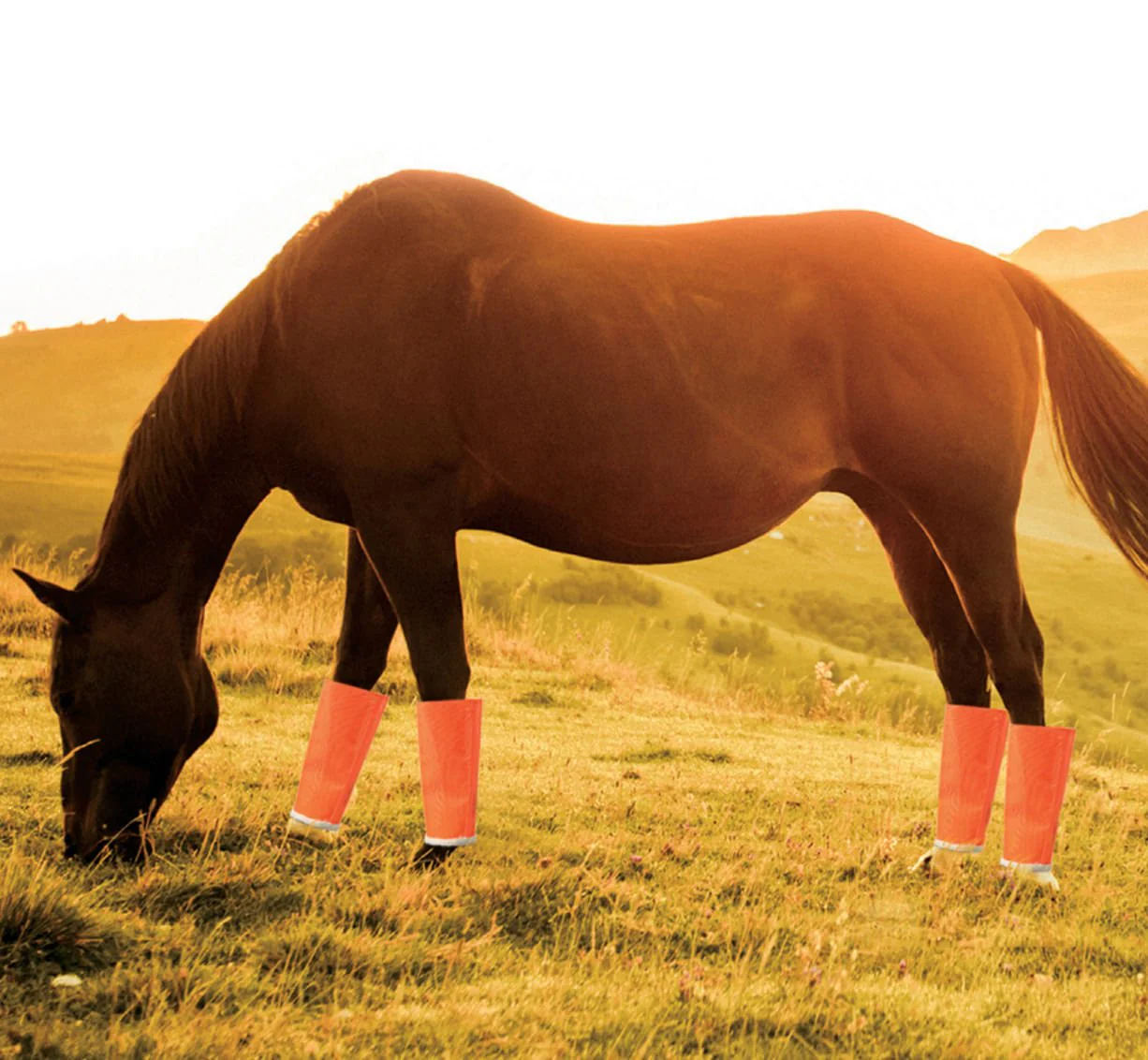 Shoofly Leggins Fine Mesh Fly Boots for Horses, 4 Pack - Image 3