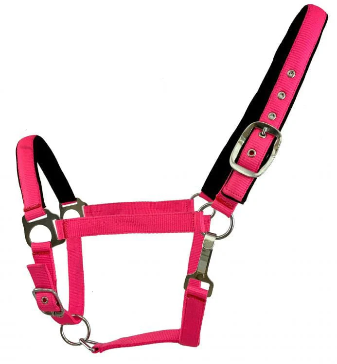 Showman Fluorescent Halters, Full - Image 1