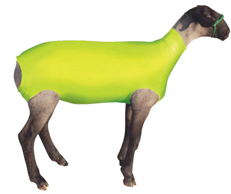 ShowPro Spandex Lamb Tube - Image 2