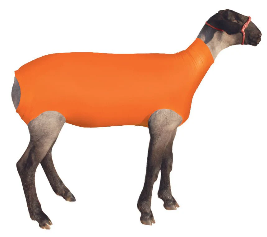 ShowPro Spandex Lamb Tube - Image 3