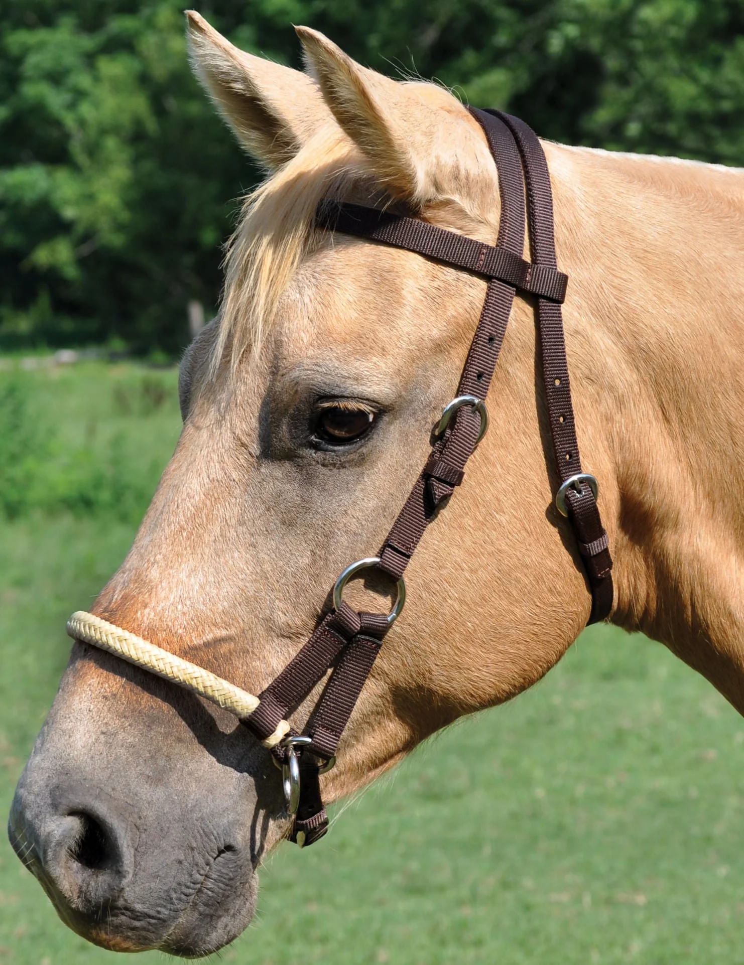 Sidepull Bridle, 3/4" - Image 1