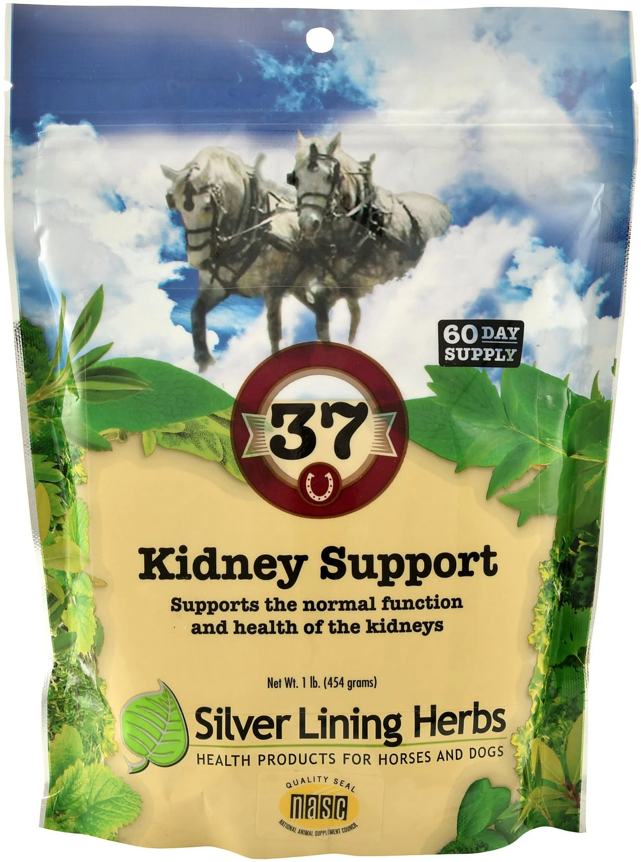 Silver Lining Herbs Kidney Support - Image 1