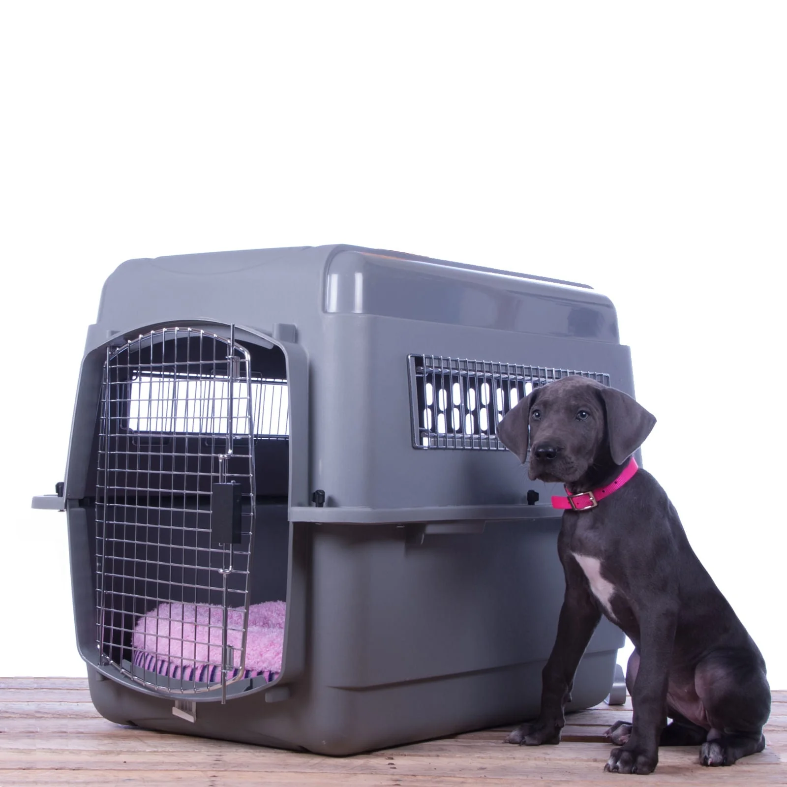 Petmate Sky Kennel Travel Pet Kennel with Food & Water Bowls Included - Image 1
