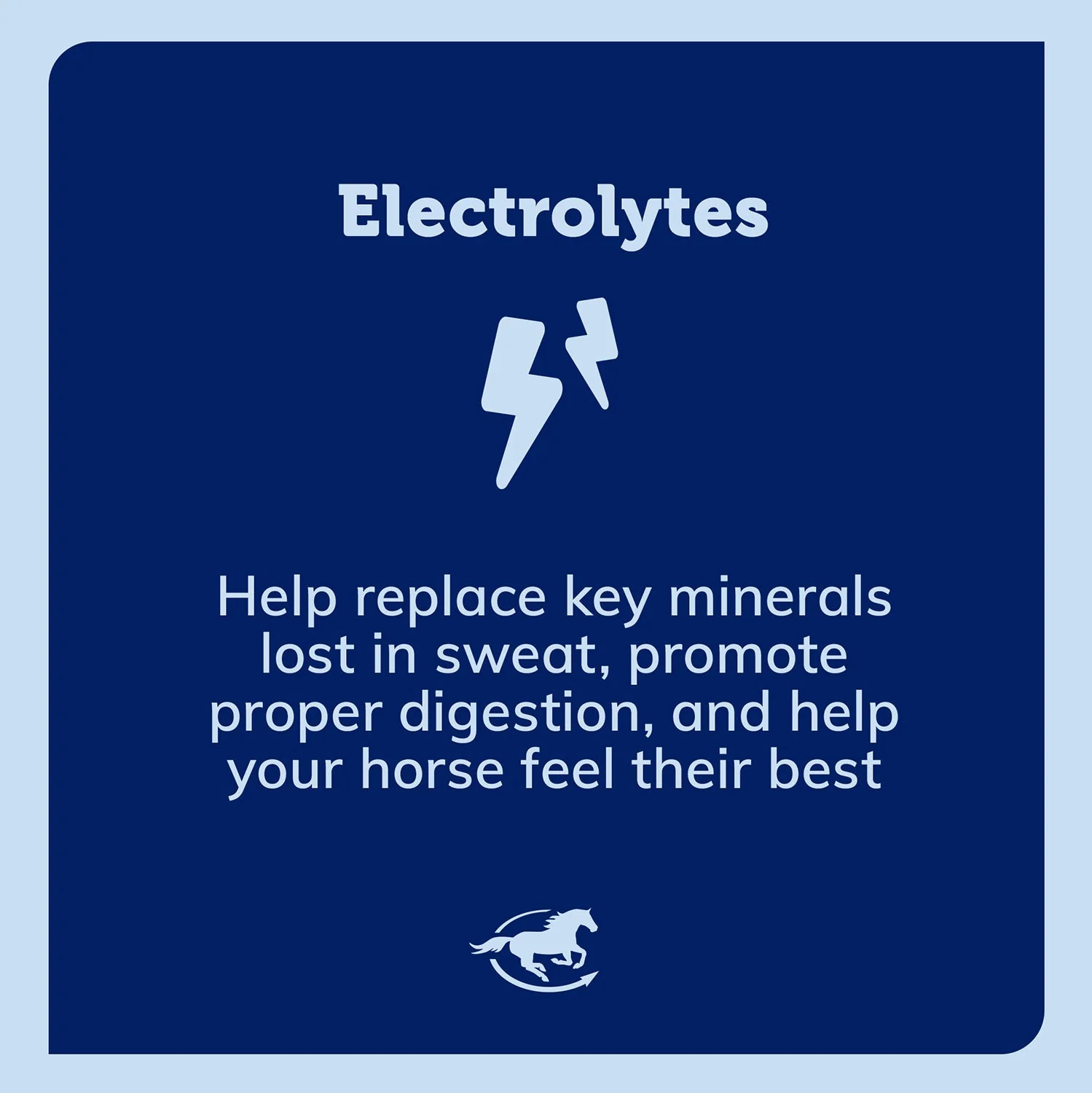 SmartEquine SmartLytes Electrolyte Paste for Horses - Image 3
