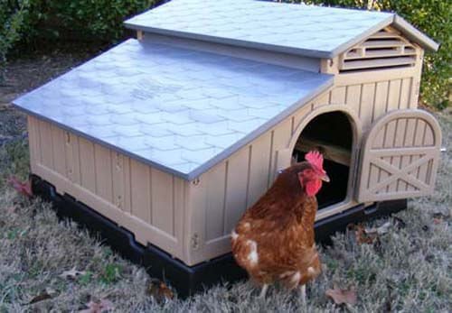 Snap Lock Standard Chicken Coop - Image 3