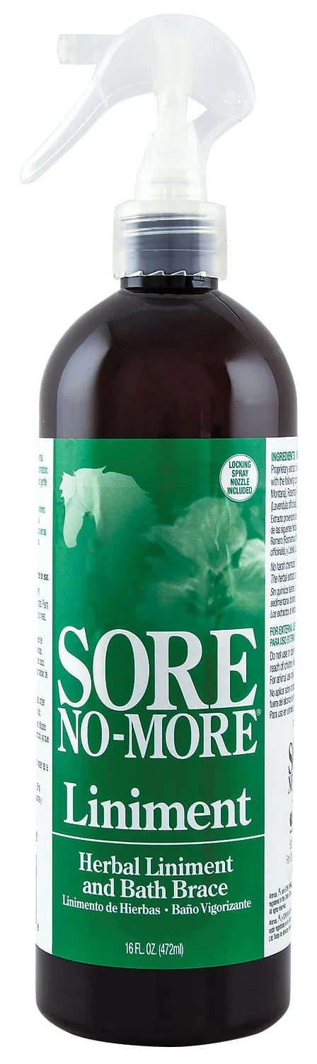 Sore No More Liniment Spray, 16 oz - Image 1