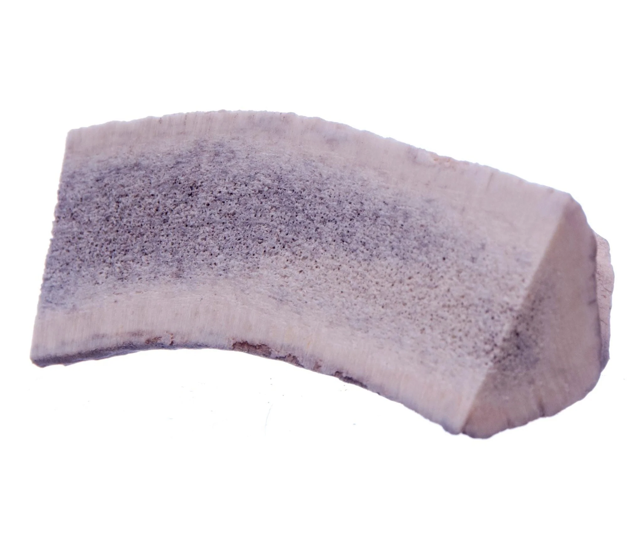 Split Antlerz (The Trew) - Image 1