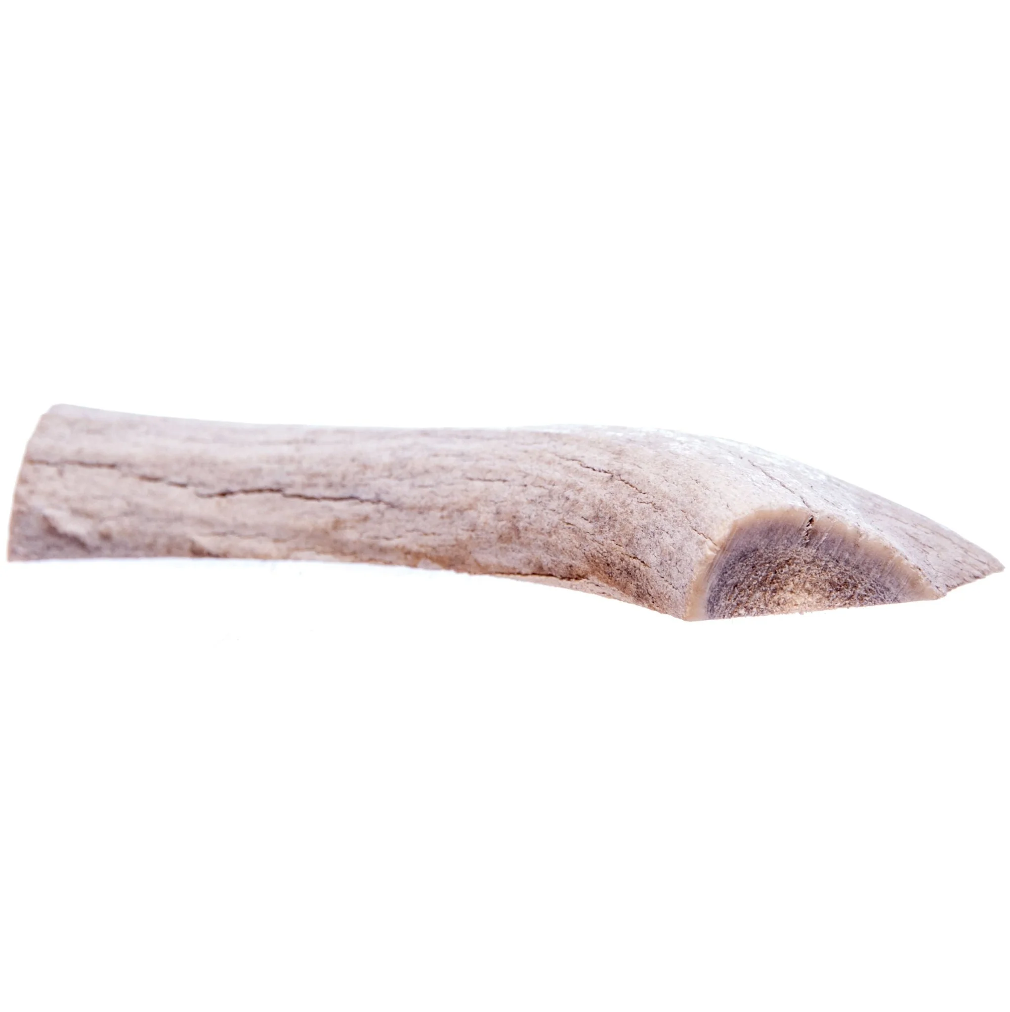 Split Antlerz (The Trew) - Image 3
