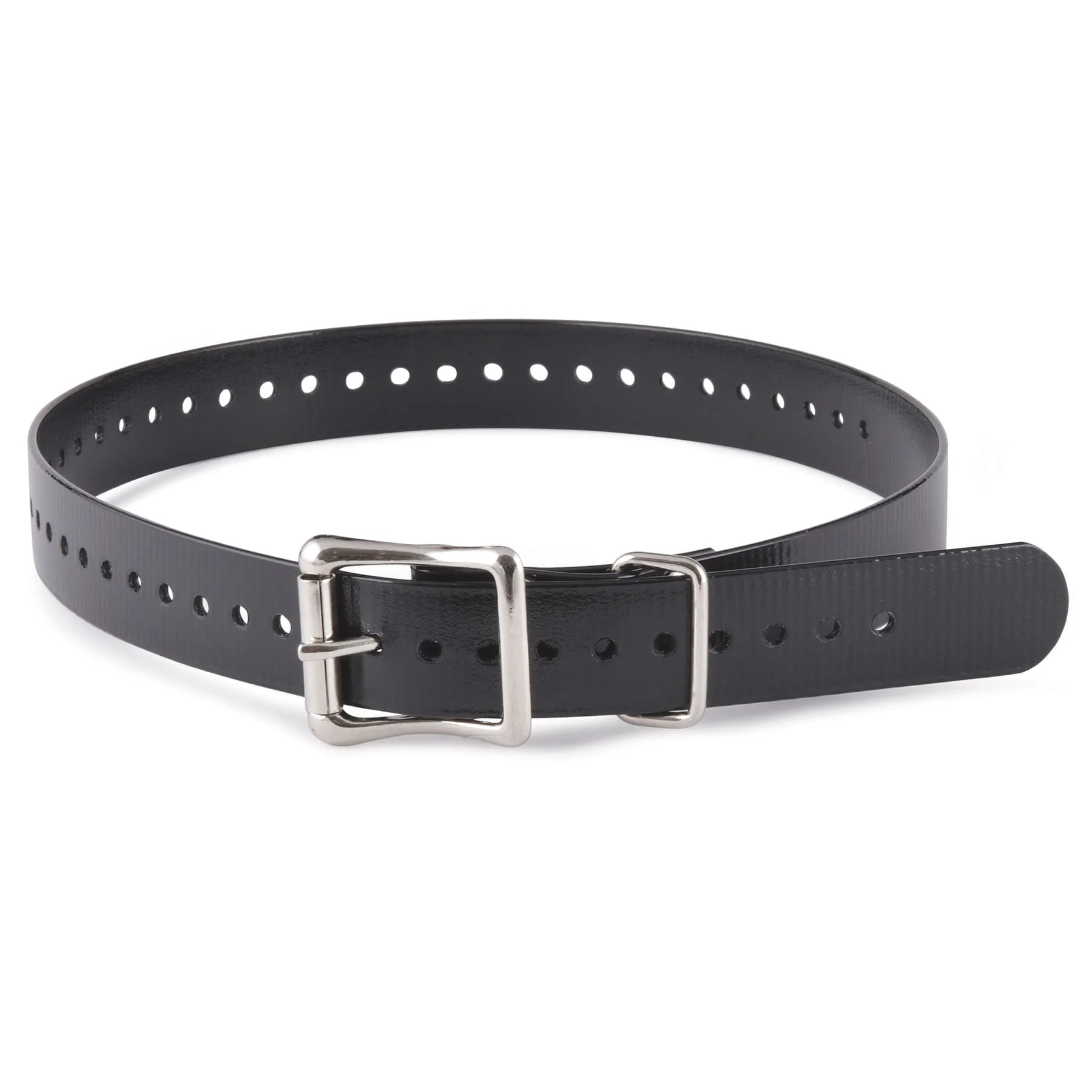 SportDOG Training Collar Strap, 1″ x 27″