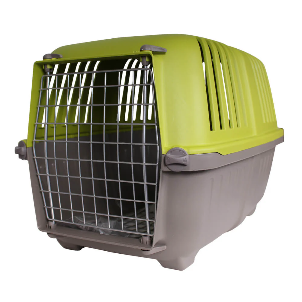Spree Pet Carrier for Small Dogs and Cats, 22″