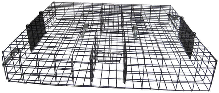 The Squirrelinator Squirrel Trap - Image 1