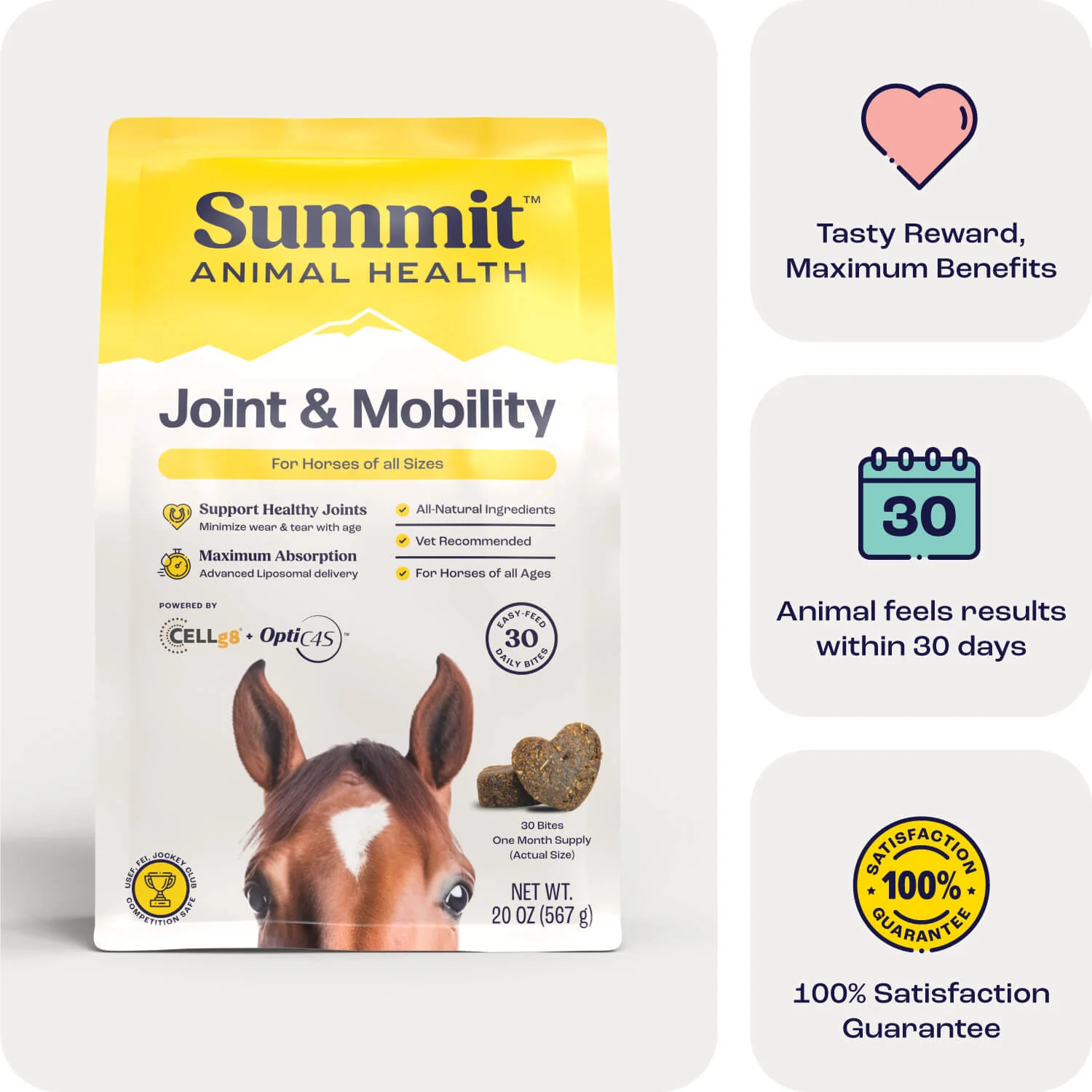 Summit Animal Health - Joint & Mobility Bites for Horses, 30 ct - Image 2