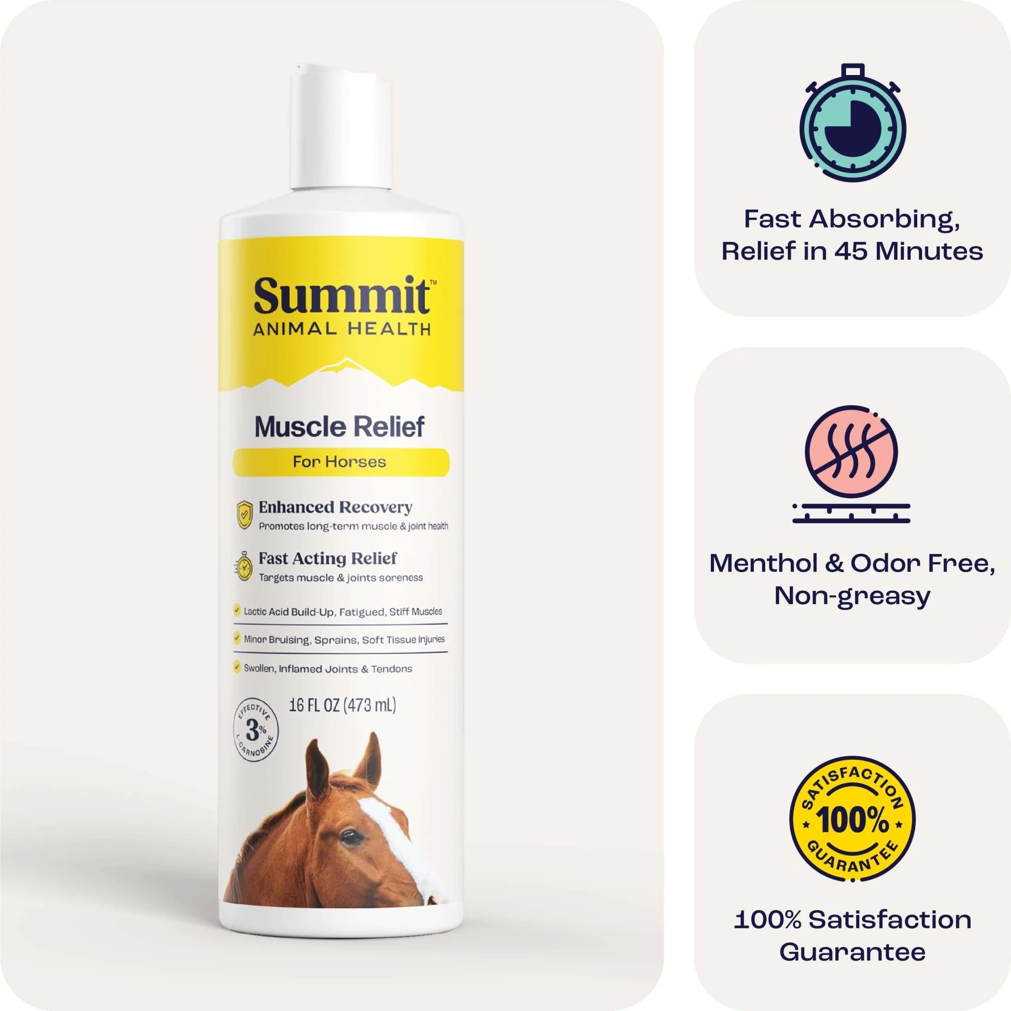 Summit Animal Health - Muscle Relief for Horses, 16 oz - Image 1
