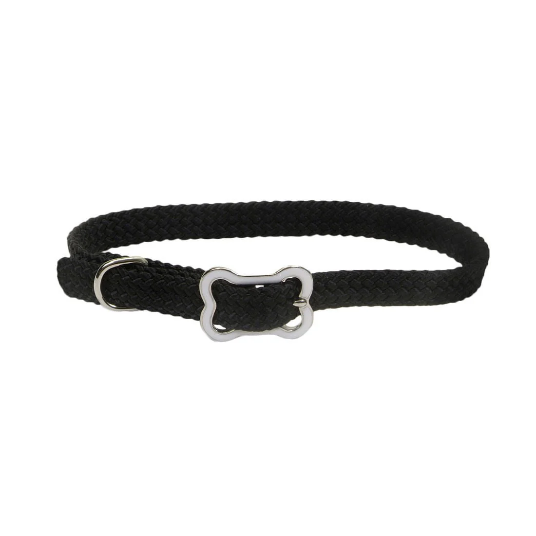 Sunburst Dog Collar with Bone Buckle - Image 2