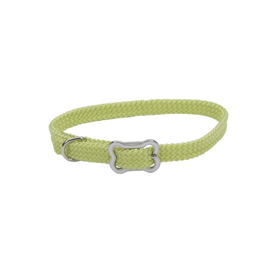 Sunburst Dog Collar with Bone Buckle - Image 3