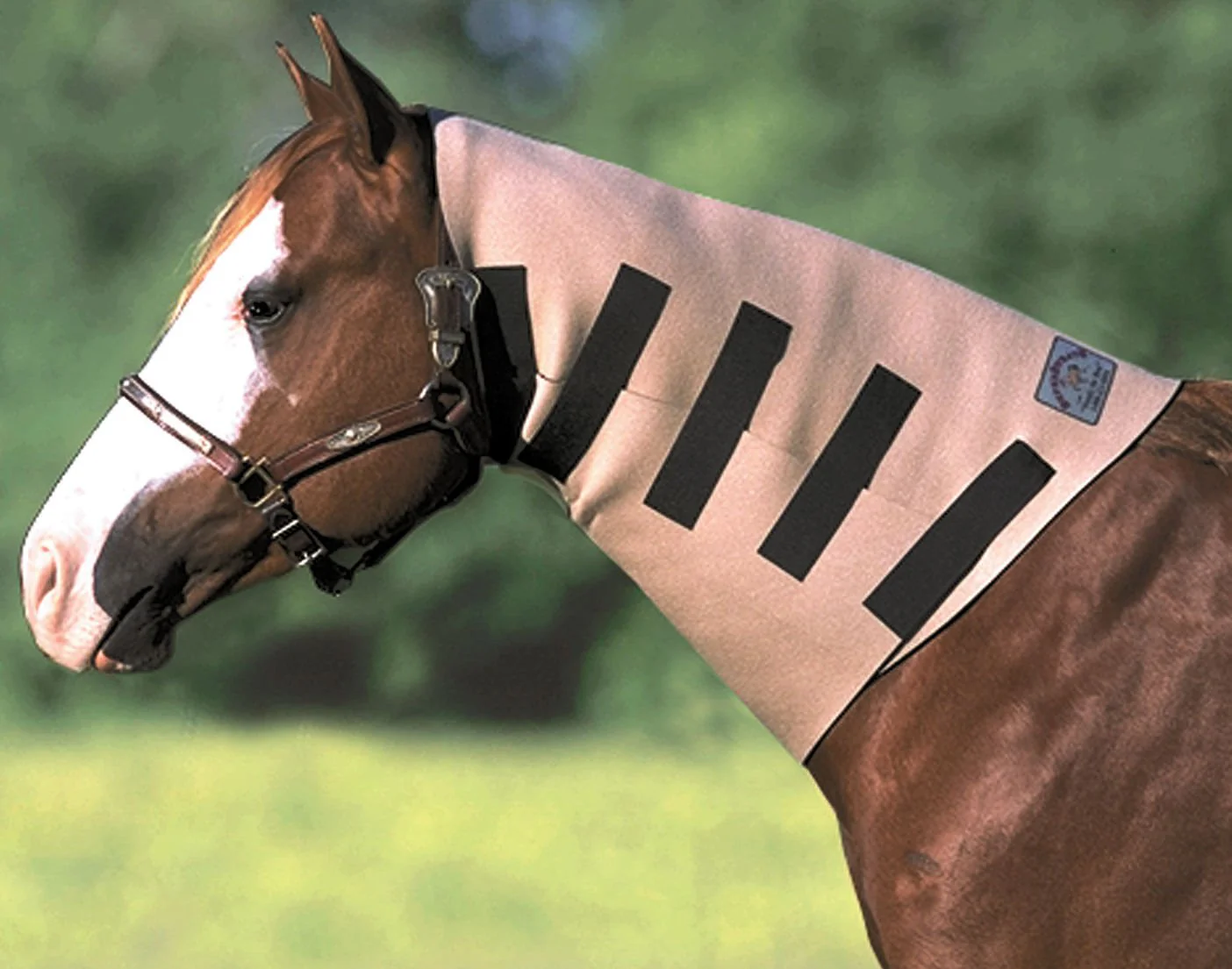 SuperSweats Neck Sweats for Horses - Image 1