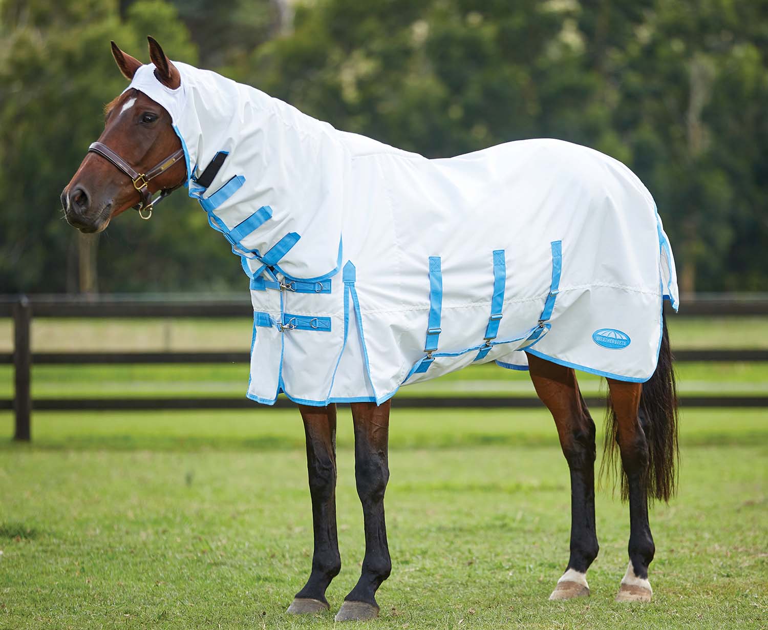 Sweet Itch Shield Combo Neck Horse Fly Sheet, White/Blue - Image 1