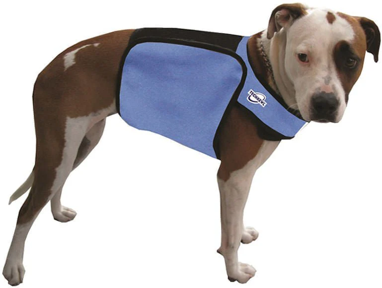 TechKewl Phase Change Cooling Dog Coat - Image 1
