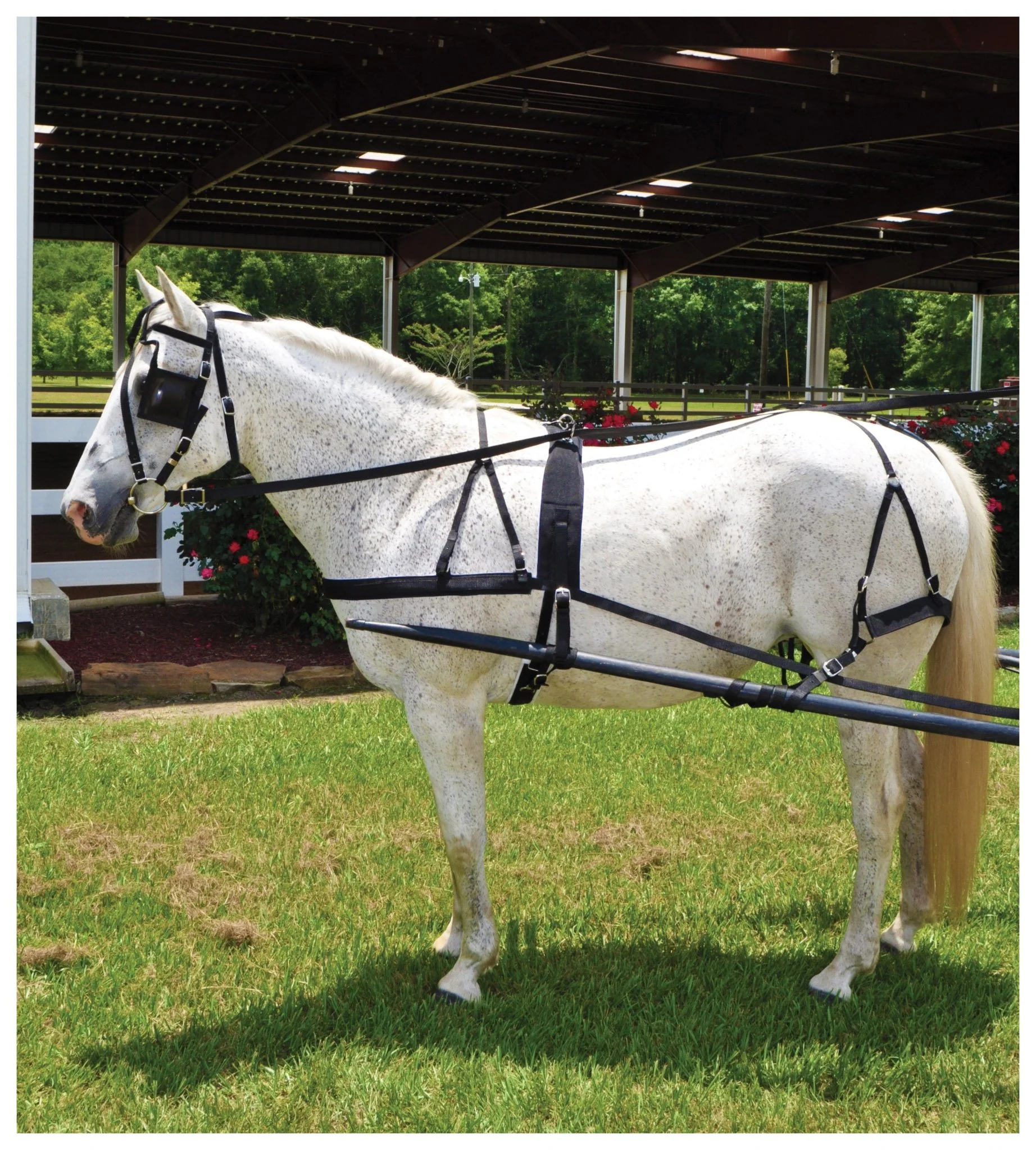 Tough1 Nylon Driving Harness - Image 1