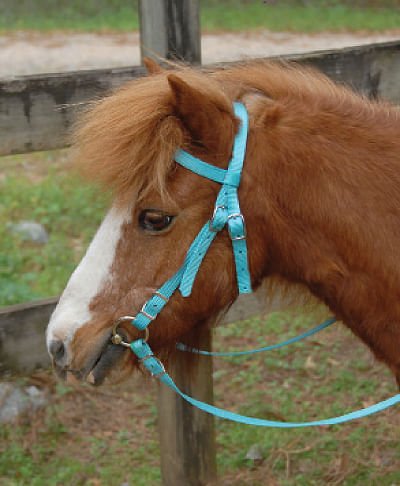 Triple E Miniature Nylon Headstall with Bit & Reins - Image 1