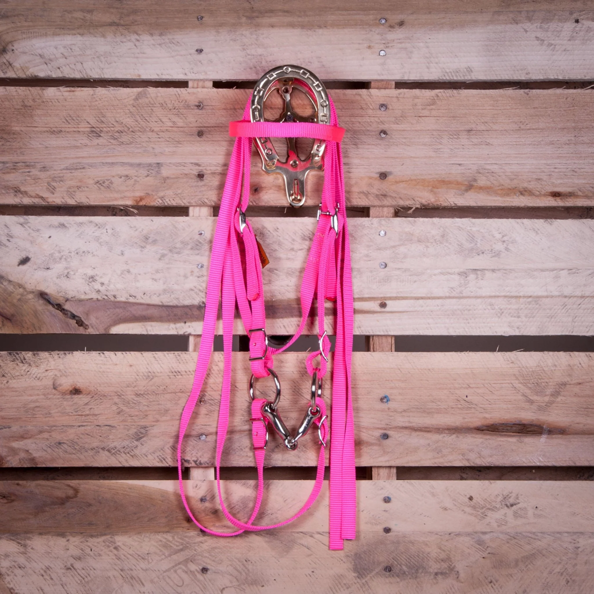 Triple E Miniature Nylon Headstall with Bit & Reins - Image 3