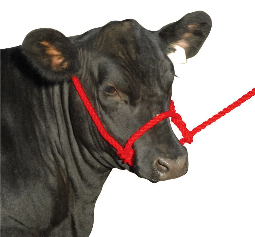 Troyer's Poly Cow Halter - Image 2